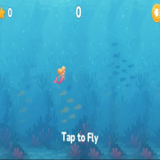 Coral Adventure