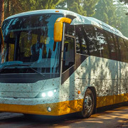 Dirt Bus Simulation Game