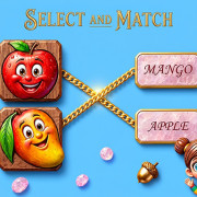 Matching Pair Game