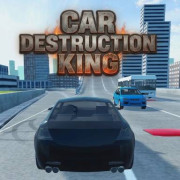 Car Destruction King