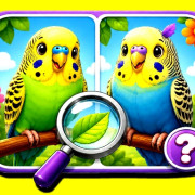 Budgie Spot the Difference