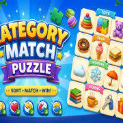 Category Match Puzzle