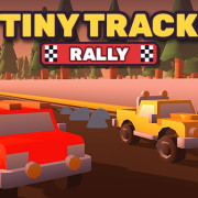 Tiny Track Rally
