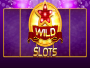 Wild Slot