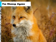 Fox Closeup Jigsaw