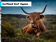 Scotland Beef Jigsaw