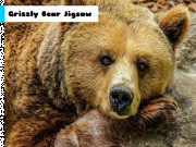 Grizzly Bear Jigsaw