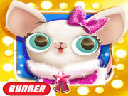 Miss Hollywood: Pet Paradise Adventure Game online