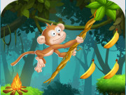 Monkey s ropes