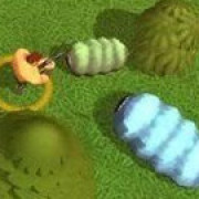 Worms Combat Coop
